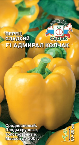 Адмирал Колчак Ц(С)