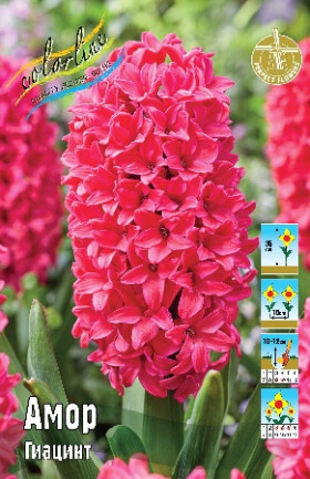 Амор 14/15, 3шт