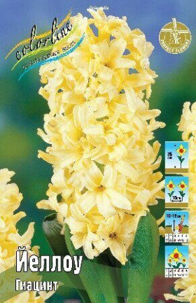 Йеллоу 14/15, 3шт