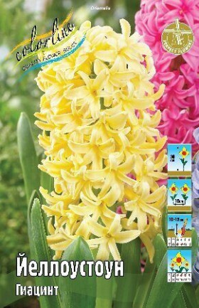 Йеллоустоун 14/15, 3шт