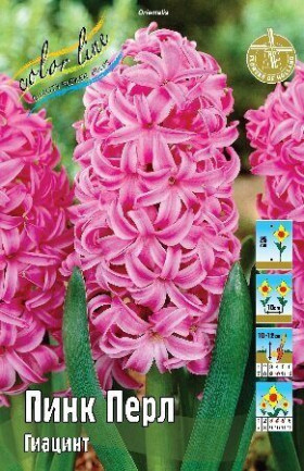 Пинк Перл 14/15, 3шт