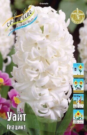 Уайт 14/15, 3шт