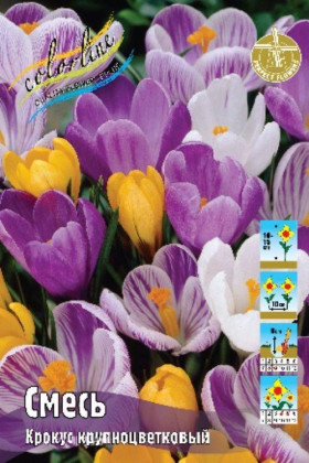 Смесь Крупноцв. 7/8, 10шт