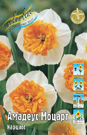 Амадеус Моцарт (крупнокор.) 12/14, 5шт