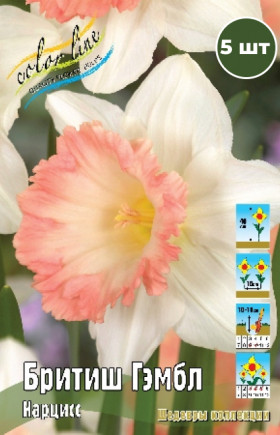 Бритиш Гэмбл (крупнокор., роз.) 12/14, 5шт