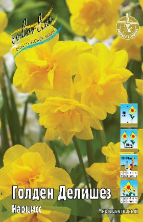 Голден Делишез (мнгцв.махр.) 12/14, 7шт