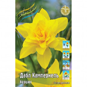 Дабл Кампернель (махр.) 10/12, 7шт