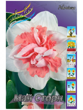 Май Стори (махр.) 12/14, 5шт