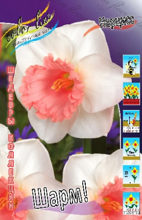 Шарм (крупнокор., роз.) 12/14, 3шт