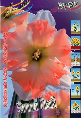 Эппл Пай (сплит. роз.) 12/14, 3шт