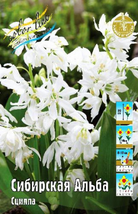 Сибирская Альба 7/8, 10шт