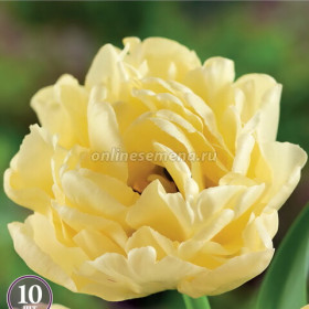 Авангард 10/11 (махр.ранн.) 8шт