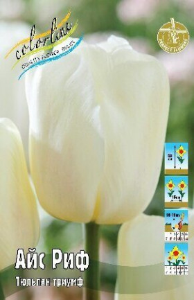 Айс Риф 11/12 (триумф) 7шт