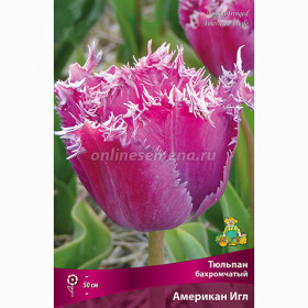 Американ Игл 11/12 (бахр.) 7шт