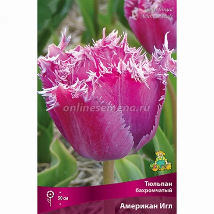 Американ Игл 11/12 (бахр.) 7шт