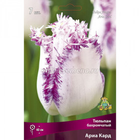 Ариа Кард 11/12 (бахр.) 7шт