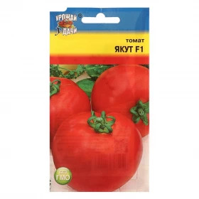 Якут Урожай Удачи