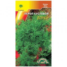 Борей кустовой Цветущий Сад