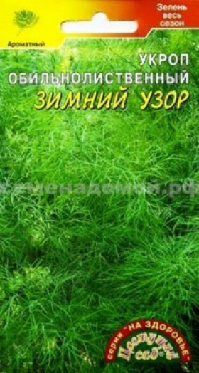 Зимний узор Цветущий Сад