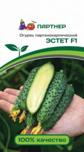 Эстет 5шт Партнер