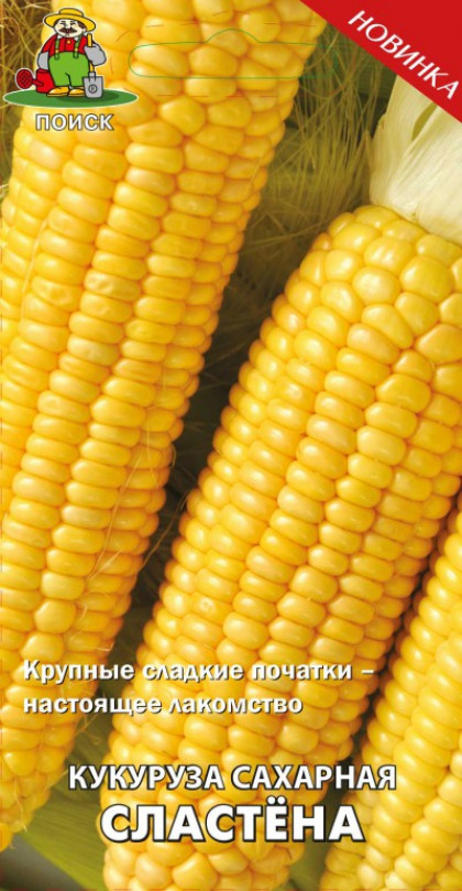 Сластена сахарная Ц(Поиск)