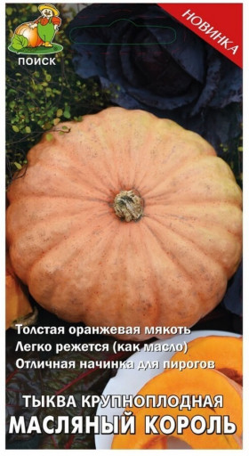 Масляный Король Ц(Поиск)