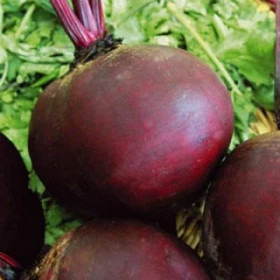 Эфиопка 500гр Поиск