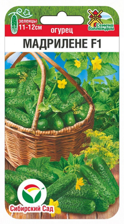 Мадрилене 5шт СС