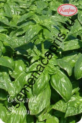 Базилик Эмили Каприс