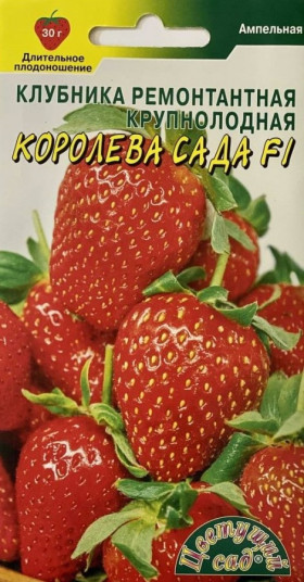 Королева Сада Цветущий Сад