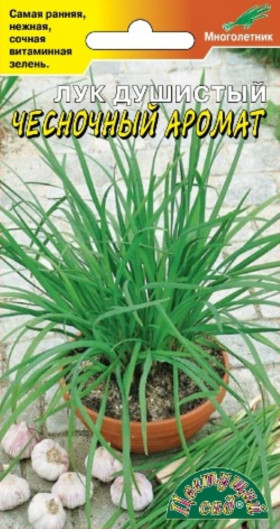 Чесночный аромат Цветущий Сад