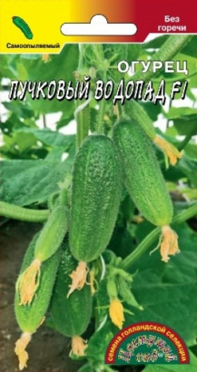 Пучковый водопад Цветущий Сад