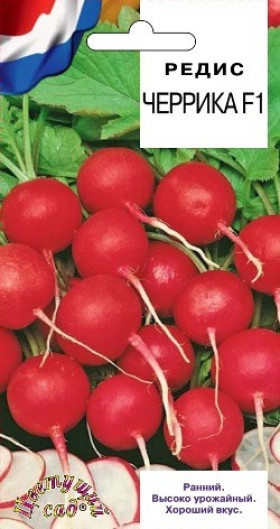 Черрика Цветущий Сад