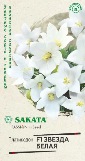 Звезда белая Ц(Г)