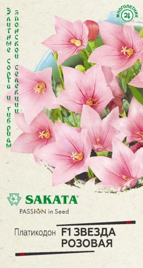 Звезда розовая Ц(Г)