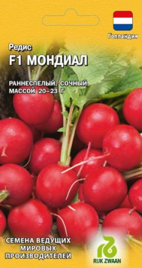 Мондиал Ц(Г)