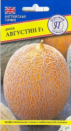 Августин Ц(П)