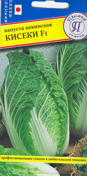 пекинская Кисеки Ц(П)