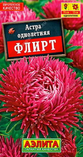 Флирт шаровидно-игольчатая Ц(А)