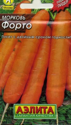 Форто Лидер