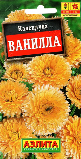 Ванилла Ц(А)