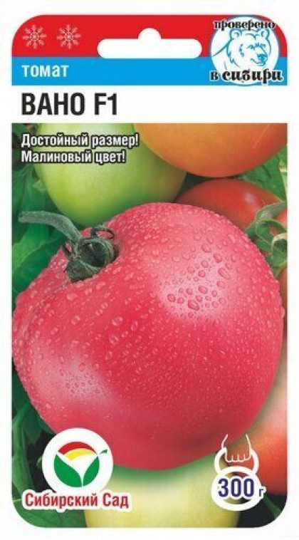 Вано СС