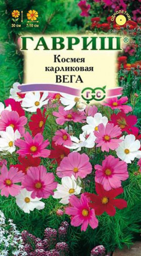 Вега Ц(Г)