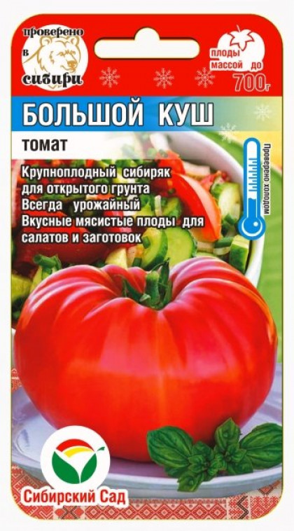 Большой куш СС