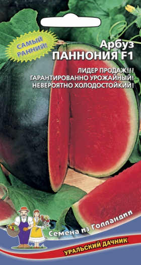 Паннония Ц(УД)