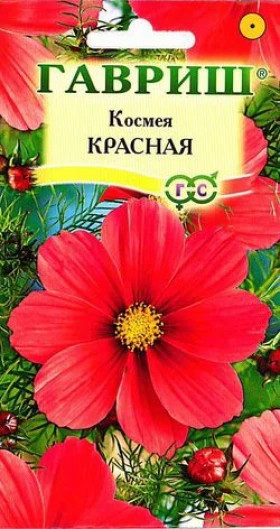 Красная Ц(Г)