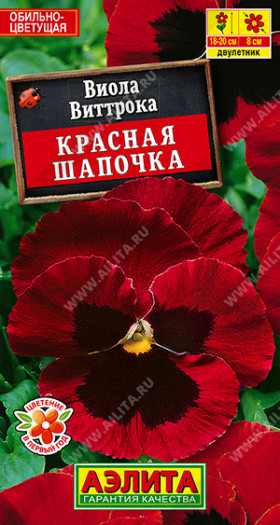 Красная шапочка Ц(А) виола