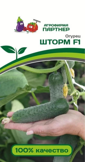 Шторм 5шт Партнер