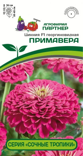 Примавера 4шт Патрнер