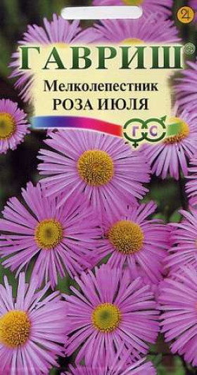 Роза июля Ц(Г)